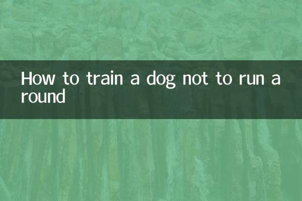 怎么训练狗狗不乱跑