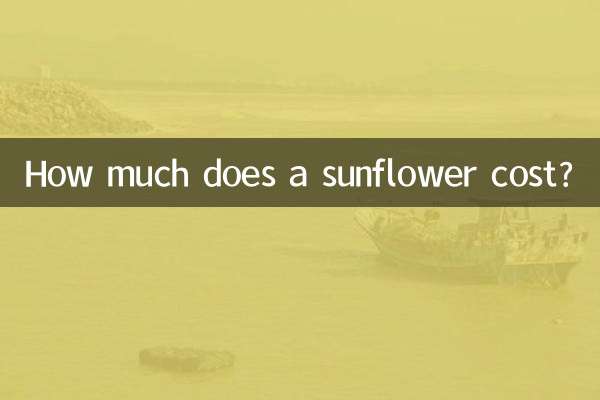 قیمت گل آفتابگردان چقدر است؟