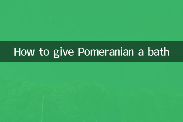포메라니안을 목욕시키는 방법