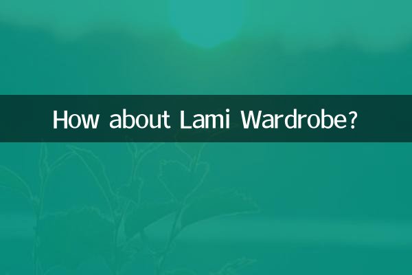 라미 옷장은 어때요?