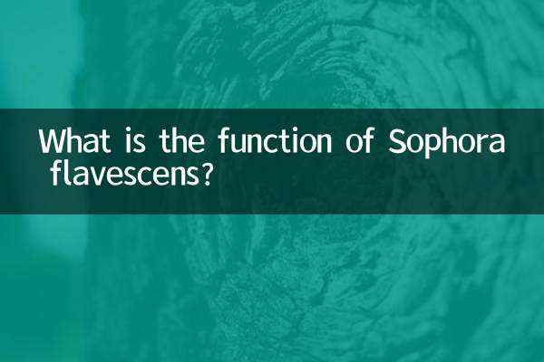 Какова функция софоры жёлтой?