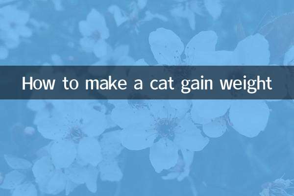 How to make a cat gain weight