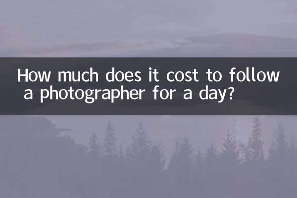 하루 동안 사진가를 따라가는 데 비용이 얼마나 드나요?