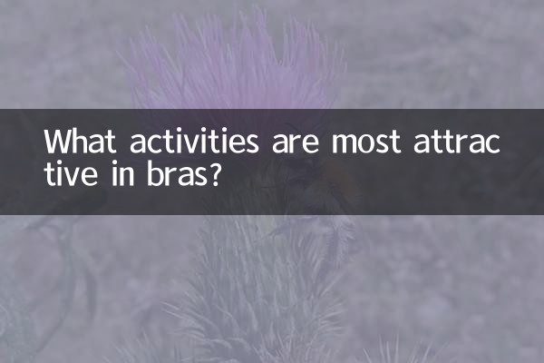 브래지어에서 가장 매력적인 활동은 무엇입니까?