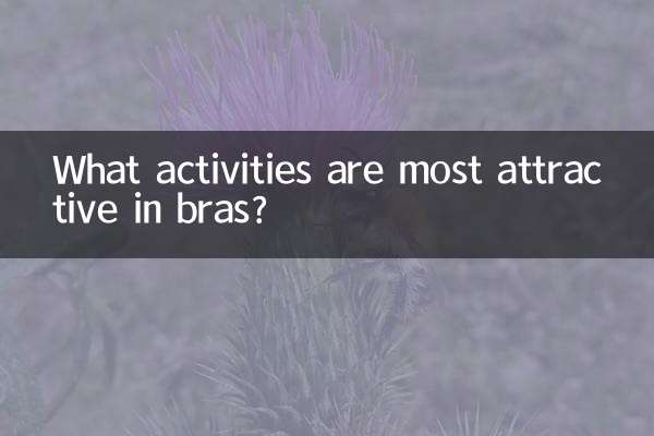 브래지어에서 가장 매력적인 활동은 무엇입니까?