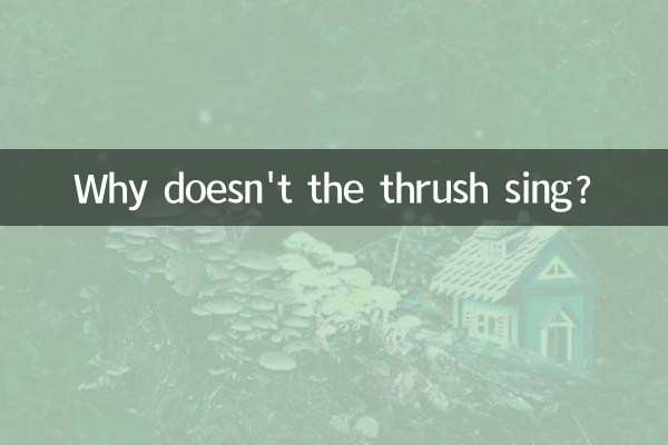 아구창은 왜 노래하지 않습니까?