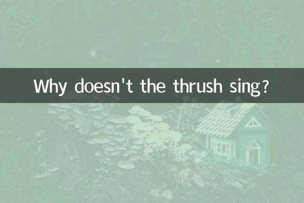 아구창은 왜 노래하지 않습니까?