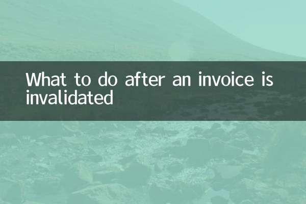 Cosa fare dopo che una fattura viene invalidata