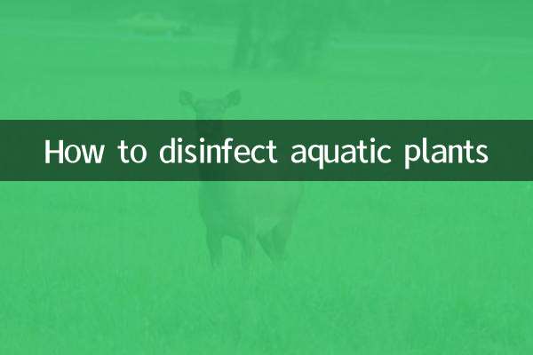 Comment désinfecter les plantes aquatiques