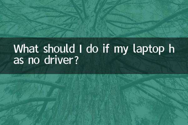 Was soll ich tun, wenn mein Laptop keinen Treiber hat?