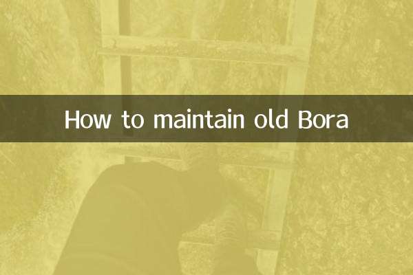 পুরানো বোরা কিভাবে বজায় রাখা যায়