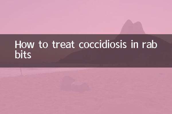 Wie behandelt man Kokzidiose bei Kaninchen?