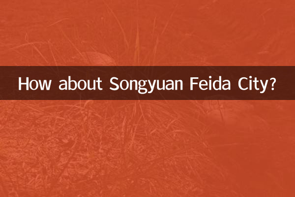 松原飞达城怎么样