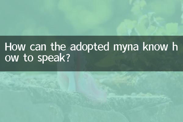 How can the adopted myna know how to talk?