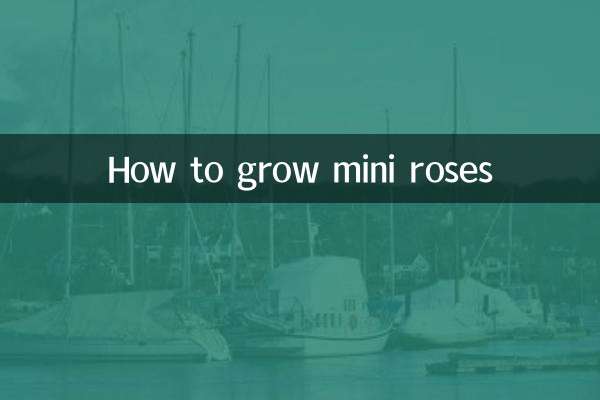 How to grow mini roses