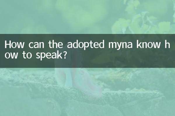 How can the adopted myna know how to talk?