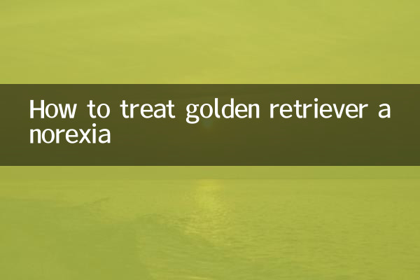 गोल्डन रिट्रीवर एनोरेक्सिया का इलाज कैसे करें