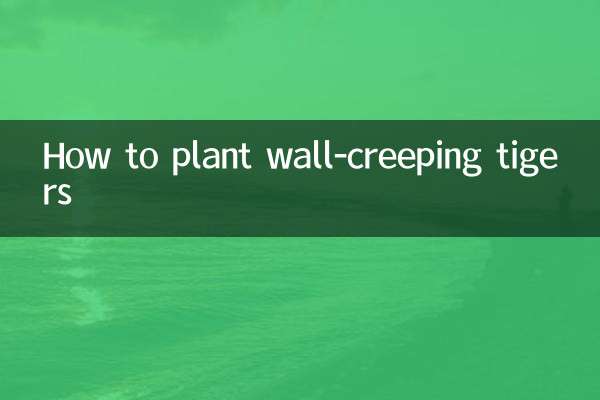 Wie man Mauertiger pflanzt