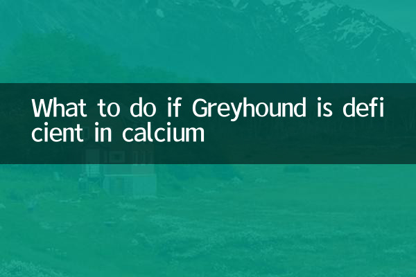 What to do if Greyhound is deficient in calcium