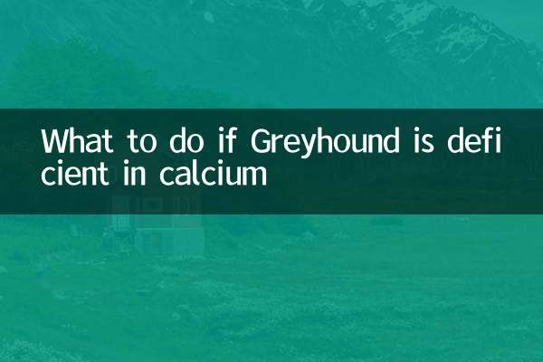 그레이하운드에 칼슘이 부족하면 어떻게 해야 할까요?
