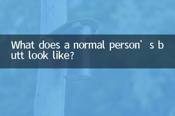 عام شخص کی بٹ کیسی نظر آتی ہے؟