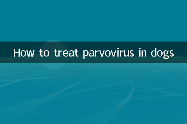 Wie behandelt man Parvovirus bei Hunden?
