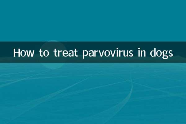 Wie behandelt man Parvovirus bei Hunden?