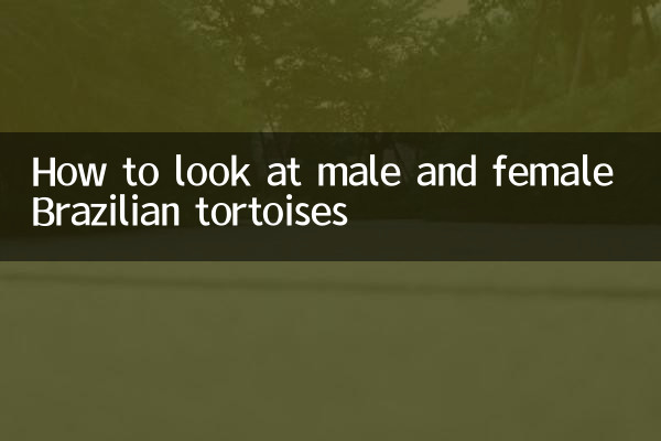 كيف ننظر إلى السلاحف البرازيلية من الذكور والإناث
