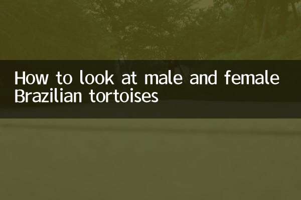 브라질거북의 수컷과 암컷을 보는 방법