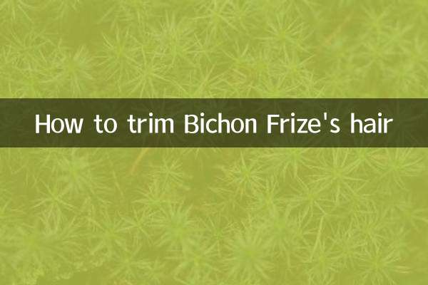 Come tagliare i capelli di Bichon Frise