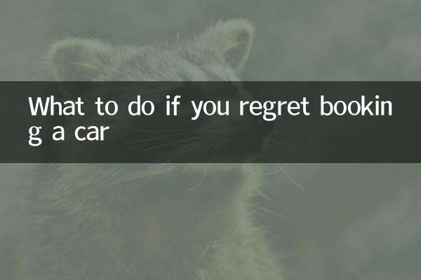 اگر از رزرو ماشین پشیمان شدید چه باید کرد؟