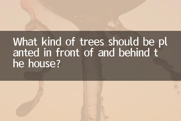 چه نوع درختانی باید در جلو و پشت خانه کاشته شود؟