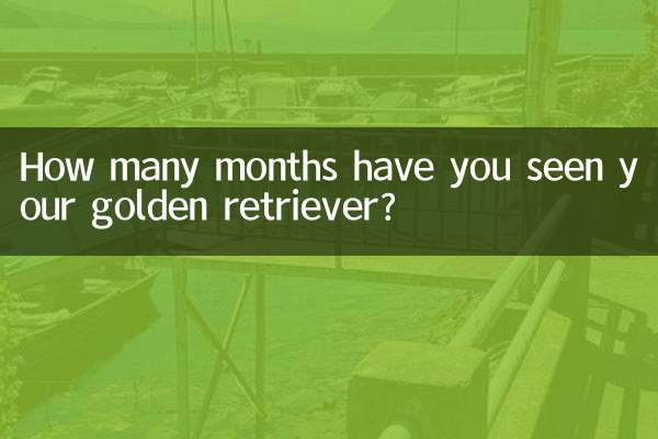 怎麼看金毛的幾個月了