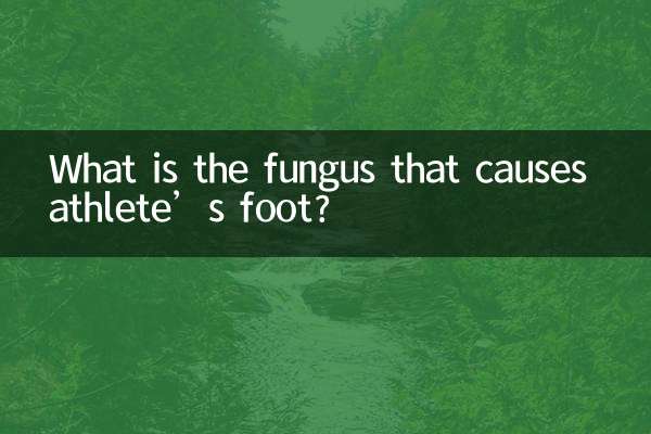 What is the fungus that causes athlete’s foot?