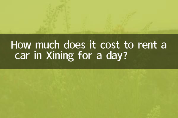 西寧市で車を1日借りるのにいくらかかりますか?