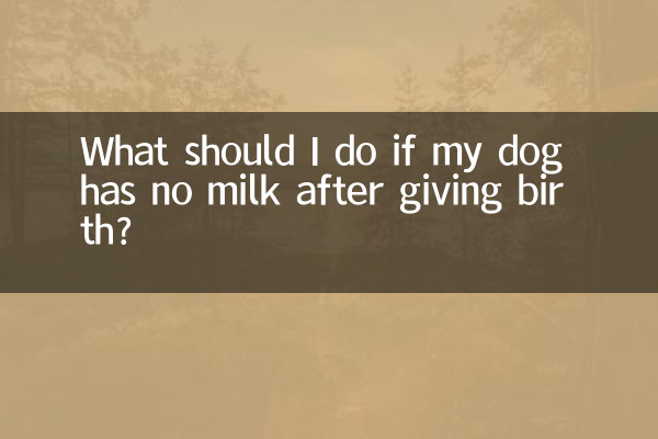 狗生完崽沒有奶怎麼辦