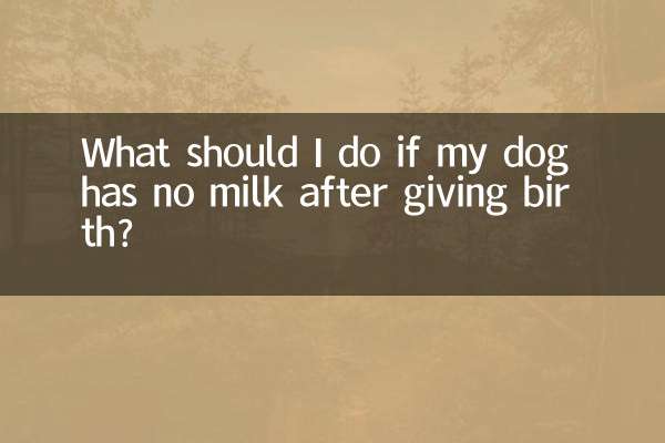 Cosa devo fare se la mia cagnolina non ha latte dopo il parto?
