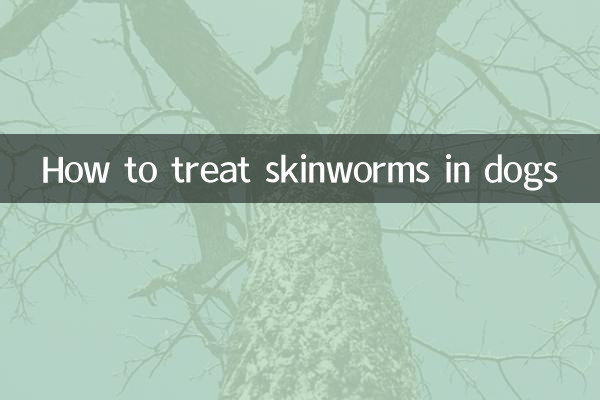 Como tratar vermes cutâneos em cães