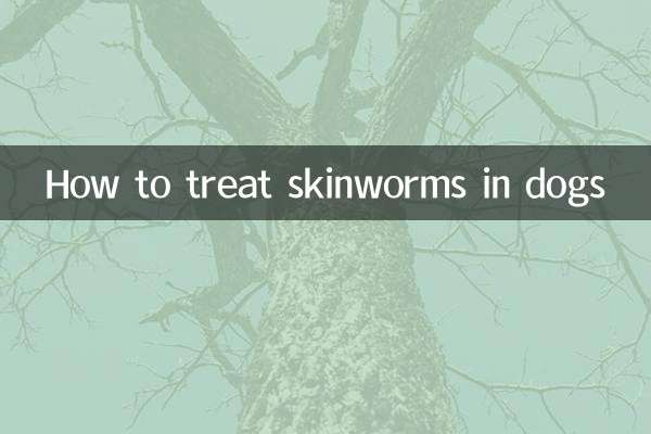 Como tratar vermes cutâneos em cães