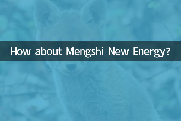 مینگشی نئی توانائی کے بارے میں کیا خیال ہے؟