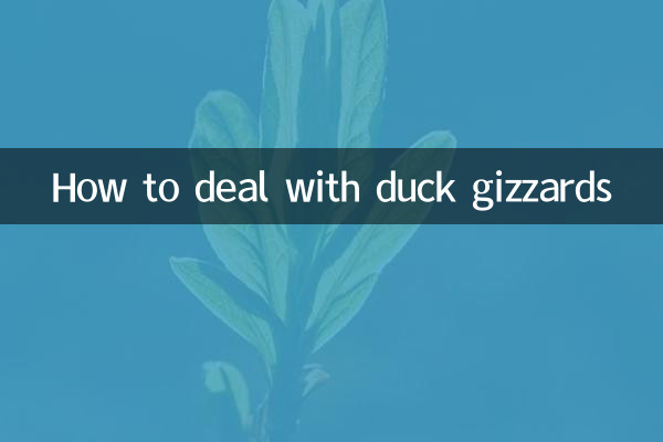 نحوه برخورد با سنگدان اردک