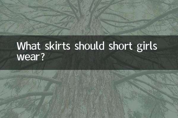 背の低い女の子はどんなスカートを履くべきですか?