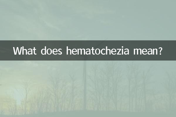 血便とはどういう意味ですか?
