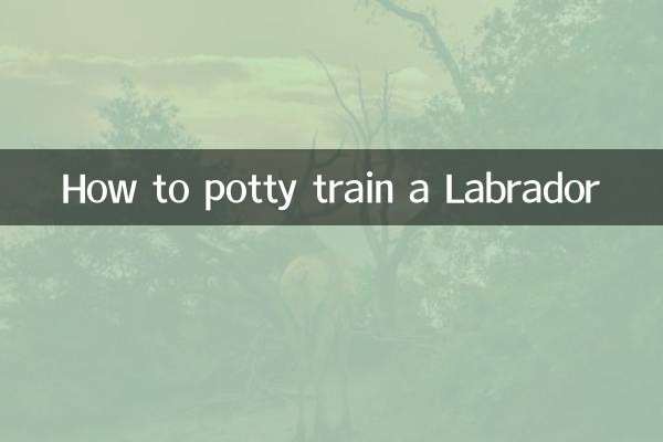 拉布拉多怎麼訓練大小便