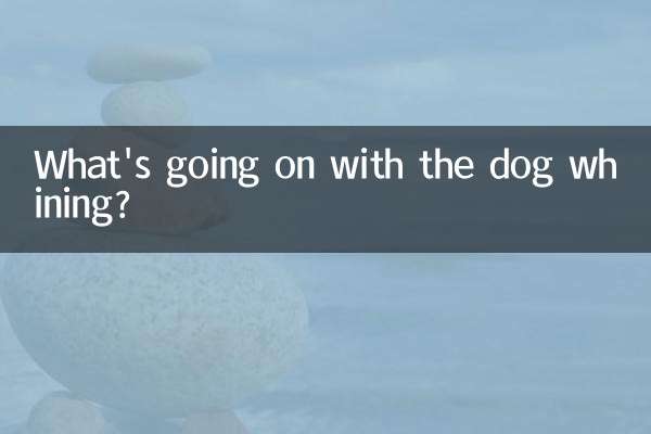 狗嗚嗚叫怎麼回事