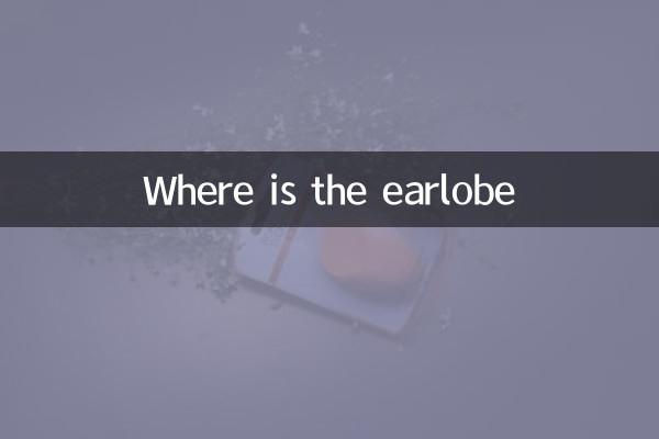 Donde esta el lóbulo