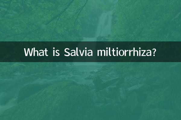 ¿Qué es Salvia Miltiorrhiza?