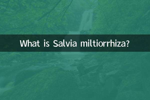 What is Salvia miltiorrhiza?