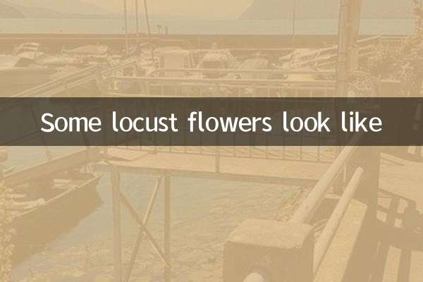 What do some locust flowers look like?