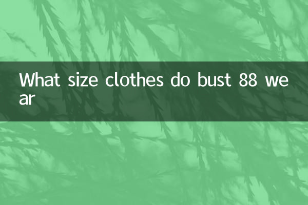 バスト88の服はどのサイズの服を着ていますか
